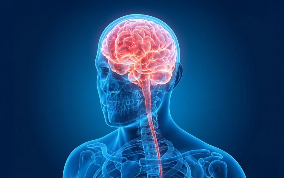The Natural "Brain Battery" Booster Helping Seniors Stay Sharp