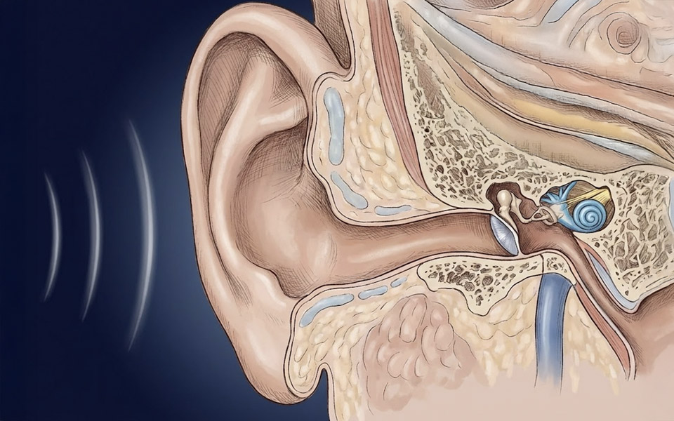 Tinnitus Relief Breakthrough: Why Thousands Are Trying This Natural Blend