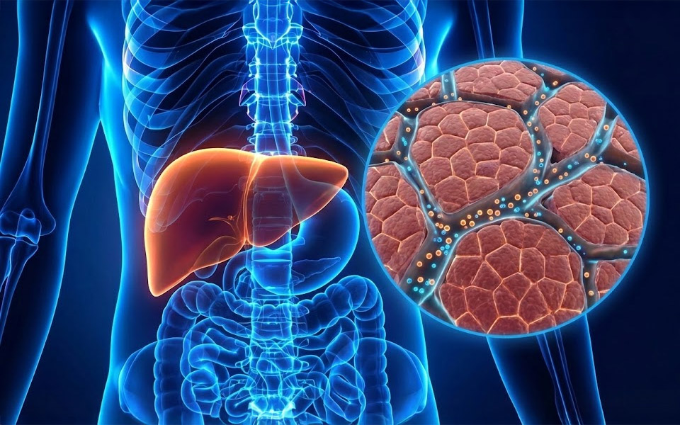 Stable Blood Sugar Without Drugs: The "Triple Threat" Solution of 2025