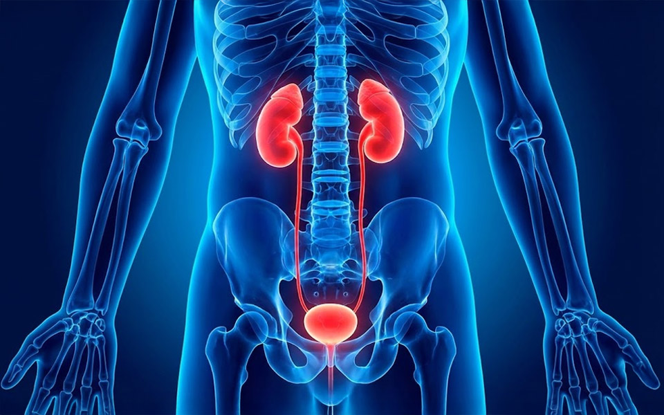 Urologist Reveals: Why Men 50+ Wake Up 3-5 Times a Night (And How to Stop It)